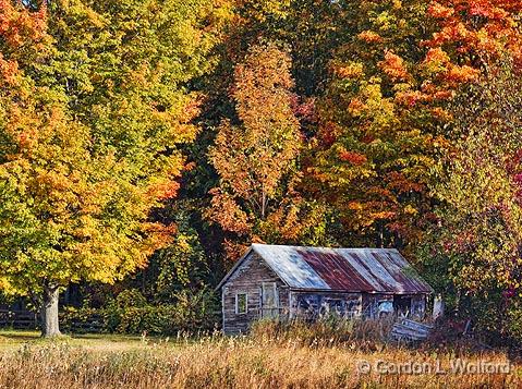 Autumn Scene_16799.jpg - Photographed near Perth, Ontario, Canada.